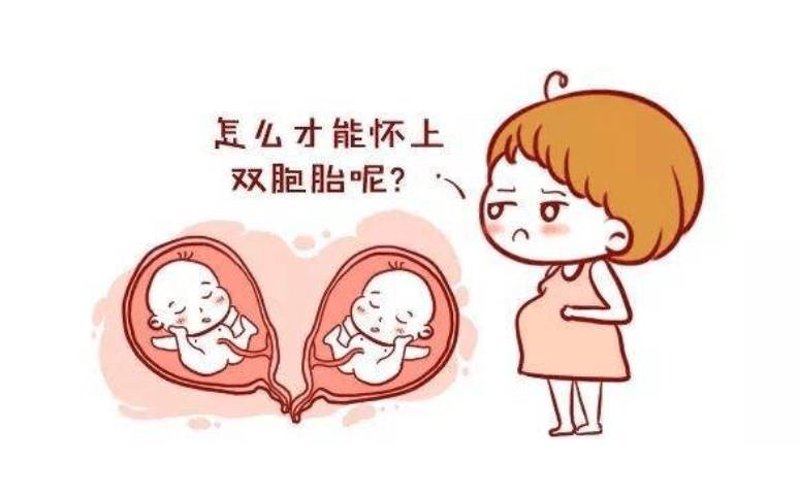 石家庄供卵试管：寻找生育的希望